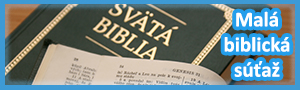 Súťaž