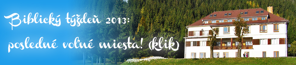 BT_Banner_2013