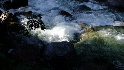 DSCF4994